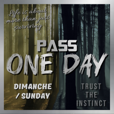 Pass one day dimanche